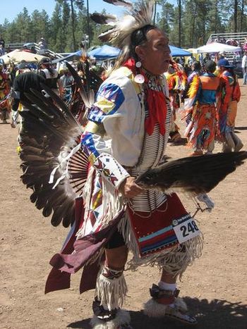 06-07-08 Pow Wow in the Pines- you've got to see it for yourself.
