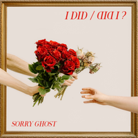 I DID/DID I? by Sorry Ghost
