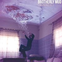 Cannonball by Brotherly Mud