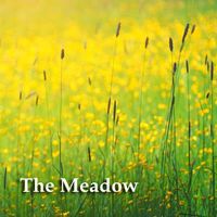 The Meadow by Pure Nature
