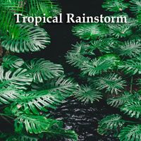 Tropical Rainstorm by Pure Nature