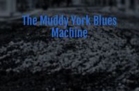 The Muddy York Blues Machine Debut Performance