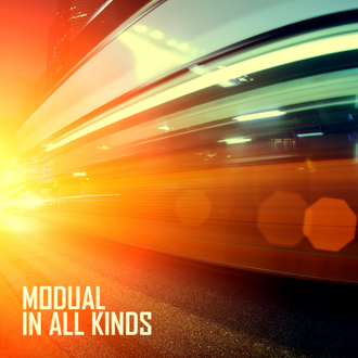 Modual - In All Kinds