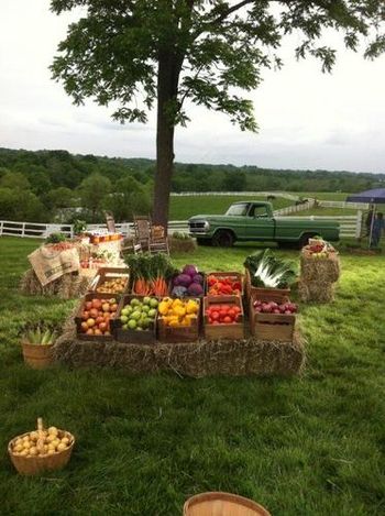 "Down on the farm". A fantastic setting for this commercial.
