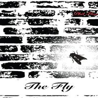 The Fly (Debut Single): CD