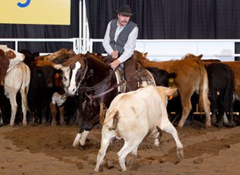 Smoothie ridden by Guy Heintz at the 2010 Calgary Stampede
