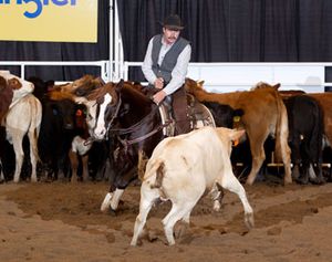 Smoothie at the 2011 Calgary Stampede Futurity,<br>ridden by Guy Heinz