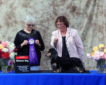 James Ray winning WD at the 2013 AM Cascade Dachshund Club Specialty
