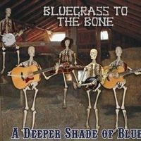 Bluegrass To The Bone: CD