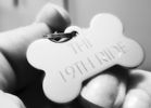 the 19TH RIDE Dog Tag & Clasp