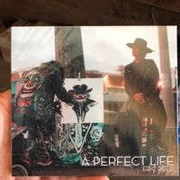 A Perfect Life: CD