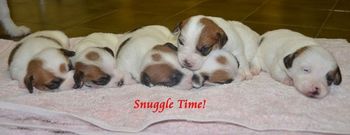 Snuggle time - 2.5 weeks old!
