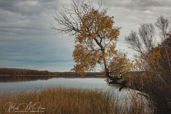 The Stillness of Stuart Lake
