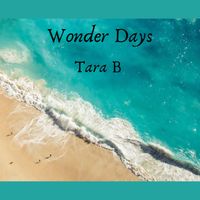 Wonder Days by Tara B