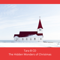 The Hidden Wonders of Christmas by Tara B