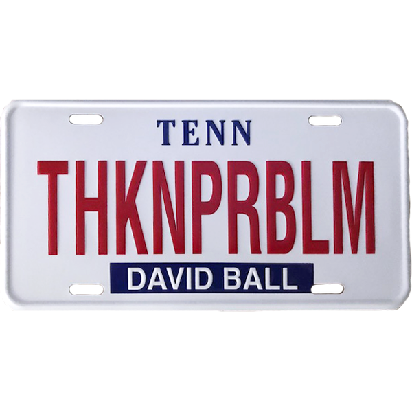 THKNPRBLM License Plate