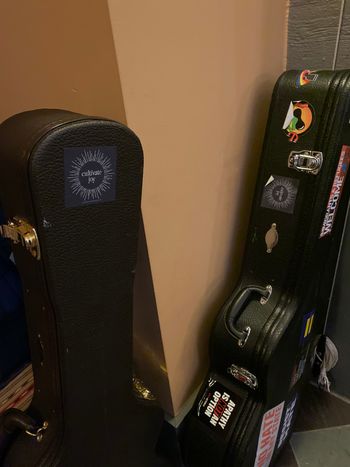 Guitar cases ~ Olathe, KS
