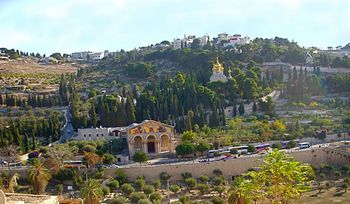 Mount of Olives / Garden of Gethsemane / Church of All Nations

