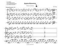 Angular Momentum Mallet Quartet
