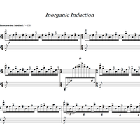 "Inorganic Induction" for Solo Prepared Marimba