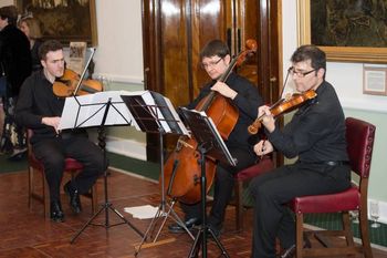 Trio musicians for a wedding
