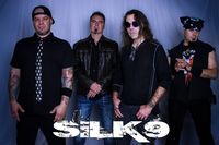 Lynch Mob with SiLK9