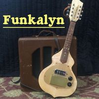 Funkalyn by Pat Johnson