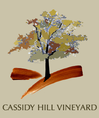 Cassidy Hill Vineyard 2022 Music Series (With Seat Of Our Pants)