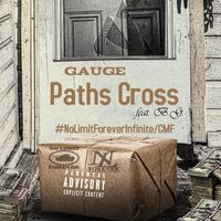 Paths Cross feat. B.G. by Gauge