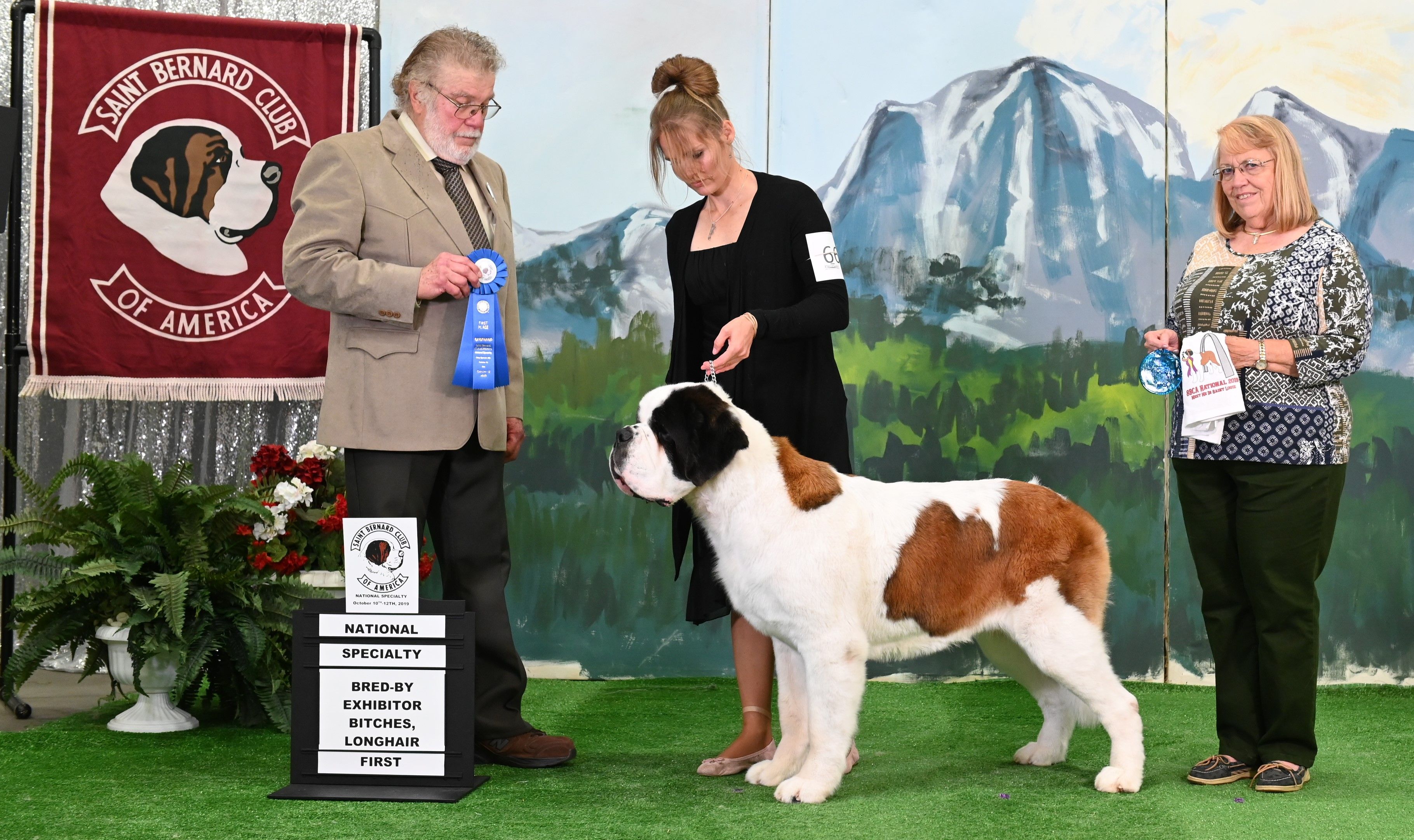 St shop bernard kennel