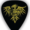 Phoenix Guitar Picks (2) - Shipping included
