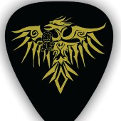 Autographed Phoenix Guitar PIck - Shipping included