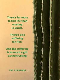 Suffering and Trusting