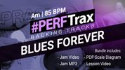 PERFTRAX Jam/Lesson Bundle - "Blues Forever"