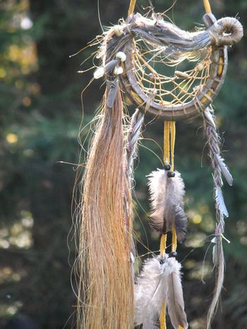 I made two dream catchers, one for each sister when their horse Lady passed this summer. Made in Oct 2011. This is for Brynn.
