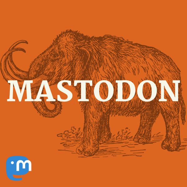 Matt Kollock and the first week or so on Mastodon