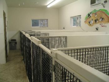 Kennel attached to house
