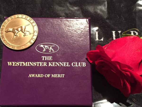 Walker Westminster Award of Merit 2015