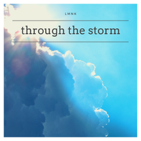 Through The Storm - Single by LMNK 