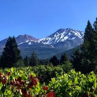 Mt Shasta 10/29 Registration & Full Payment
