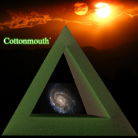 Delta 9 (Tribute to Butch McMaster III) by Cottonmouth