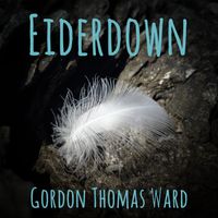 Eiderdown by Gordon Thomas Ward