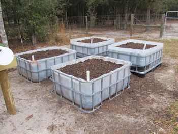 4 new Ormus prepped wicking tubs made from two 275 gallon HDPE totes. These will be the center of this years tomato production.
