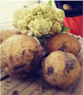 Ralph Kinsley's: Ormus Fed Cauliflower & Potatoes