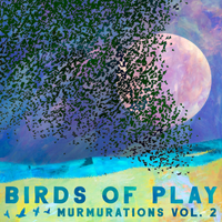 Murmurations Volume 2 by Birds of Play