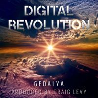 Digital Revolution  by Gedalya Folk Rock Rabbi