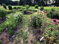 Meet, Greet & Learn at Princeton's Pollinator Garden 