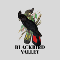 Blackbird Valley & Mikhail Laxton