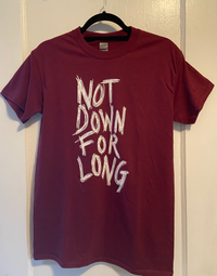 Unisex T-Shirt: Not Down for Long