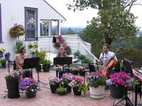 Aerie Trio performs at Moss Street Market